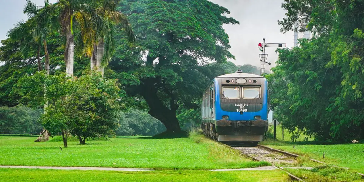 Government Prioritizes Modernizing Public Transport to Elevate National Development