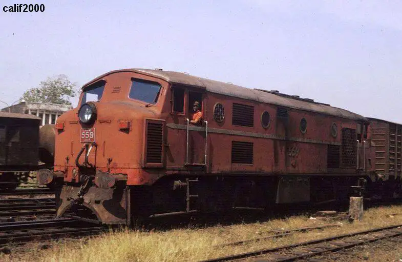 Class M1 559